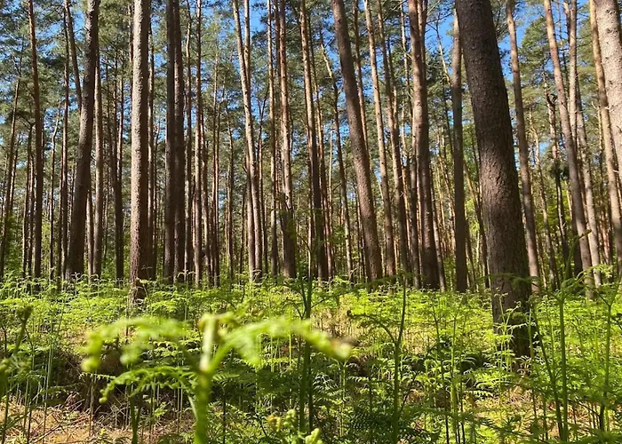 Дом отдыха Ferienhaus, *