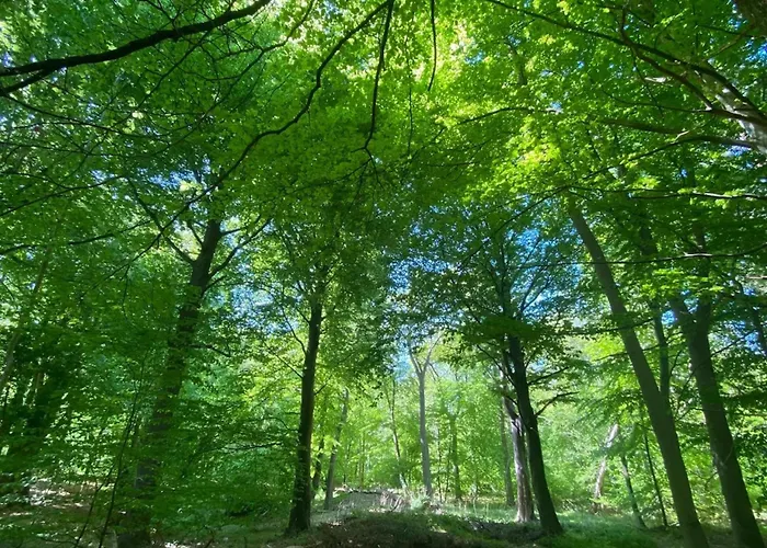 Ferienhaus, Дом отдыха